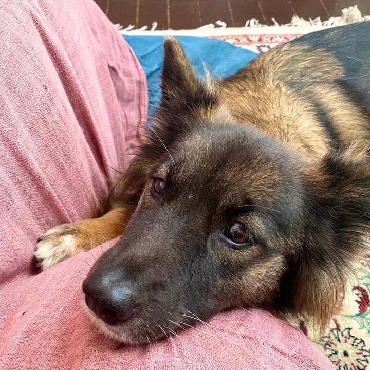 393b052e 85cf 4708 8928 bb64777ed489 1764639617186