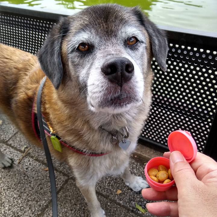 393b3a7f acc4 4073 8170 9baf4dff92a4 1569456057367