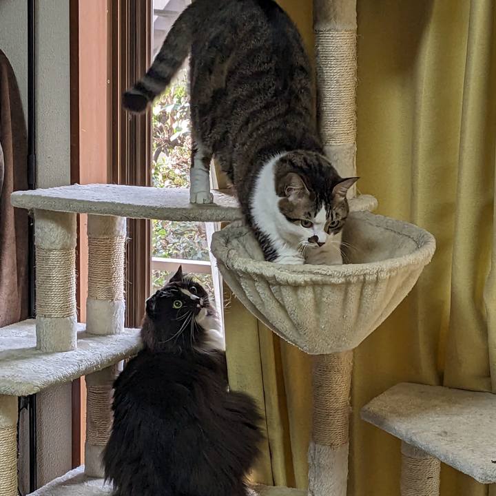 393b5544 982d 493a a628 31b58c8dbe5c 1699569377663