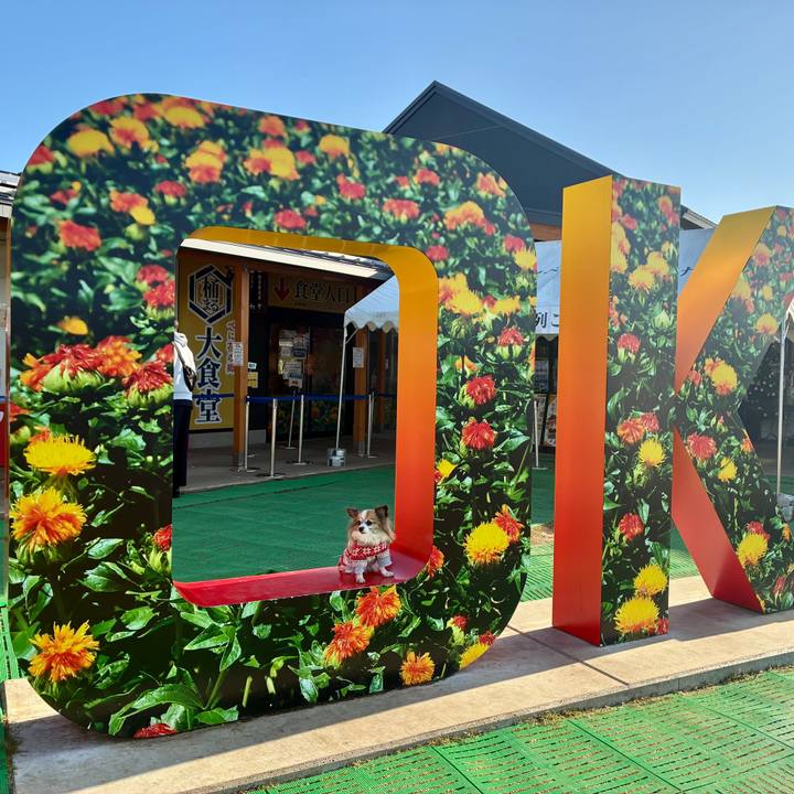 393b5b24 f6fc 4178 8a1e f96d9ed9892c 1764466624292