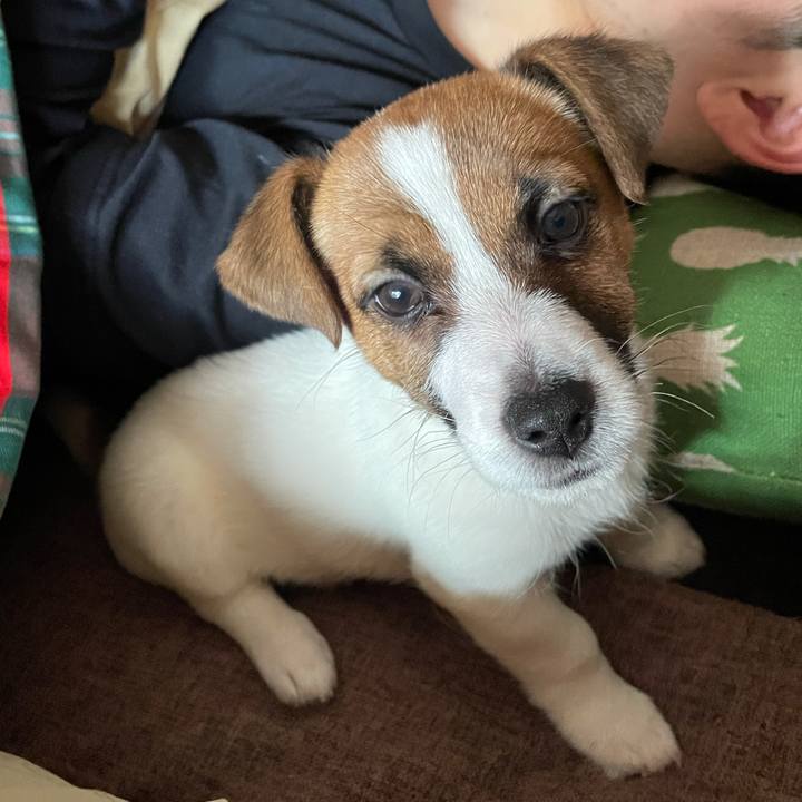 393b7427 f00c 40ee 96e1 485bf5956d17 1616044149611