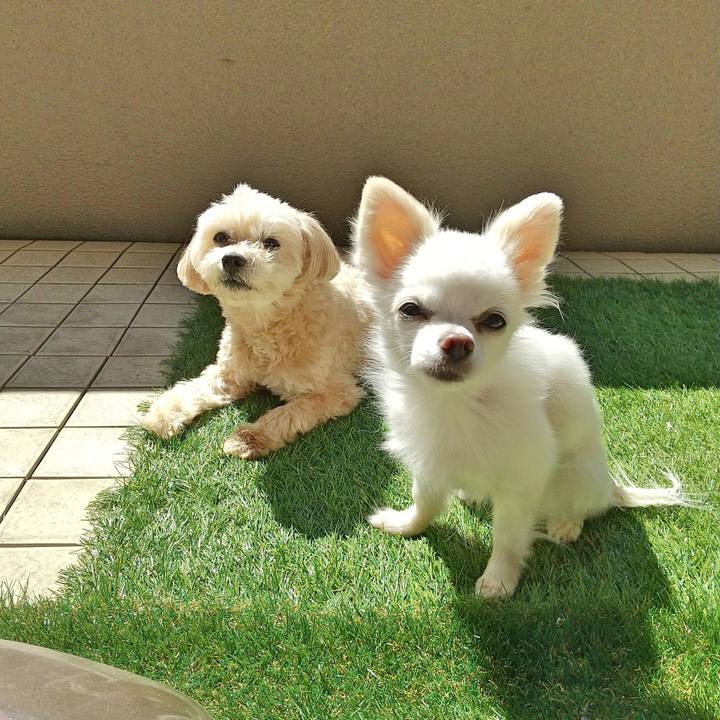 393bb7a1 4d1b 44af bacb abd7dfa82837 1584619506321