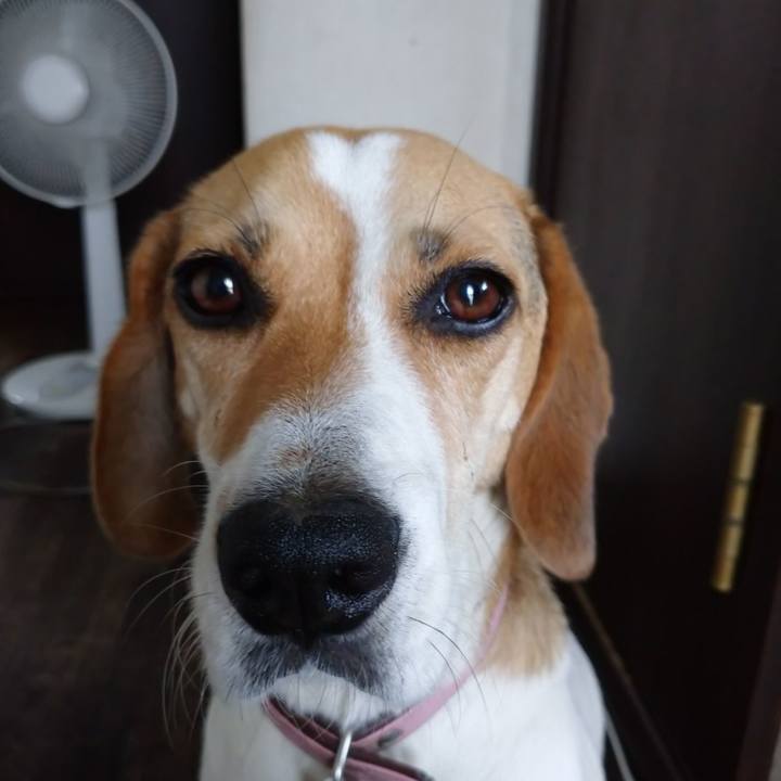 393be0ec 0ca4 44c5 b7bd 6759aef2ad84 1596595284923