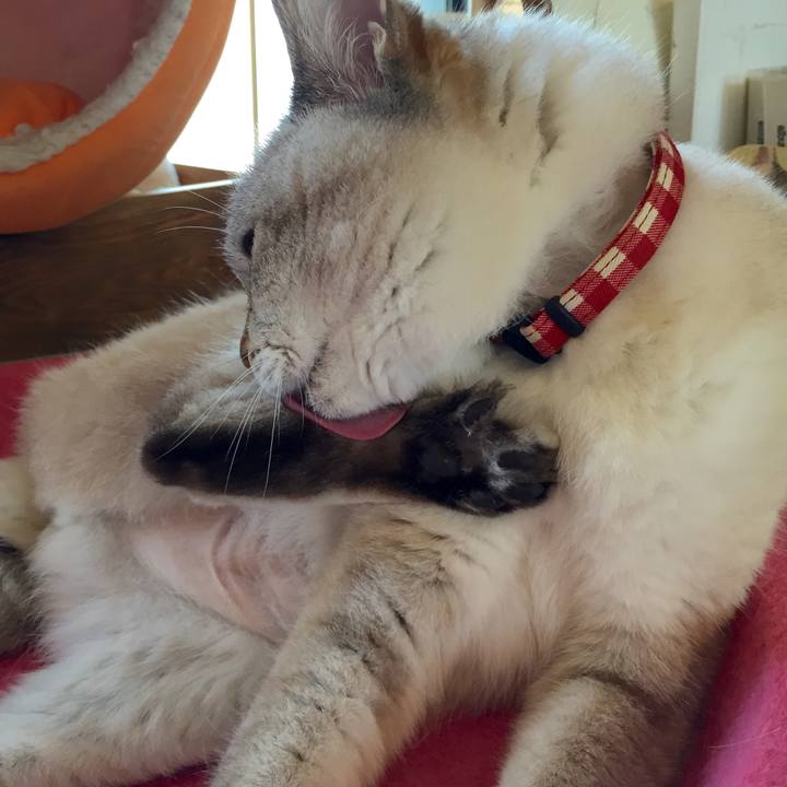 393be290 fb94 42e6 be35 5207fddd7039 1527841059327