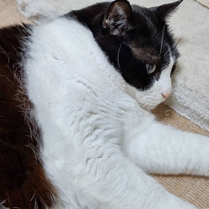 393c2a74 a008 48ca b956 70fa80af815d 1616329253667