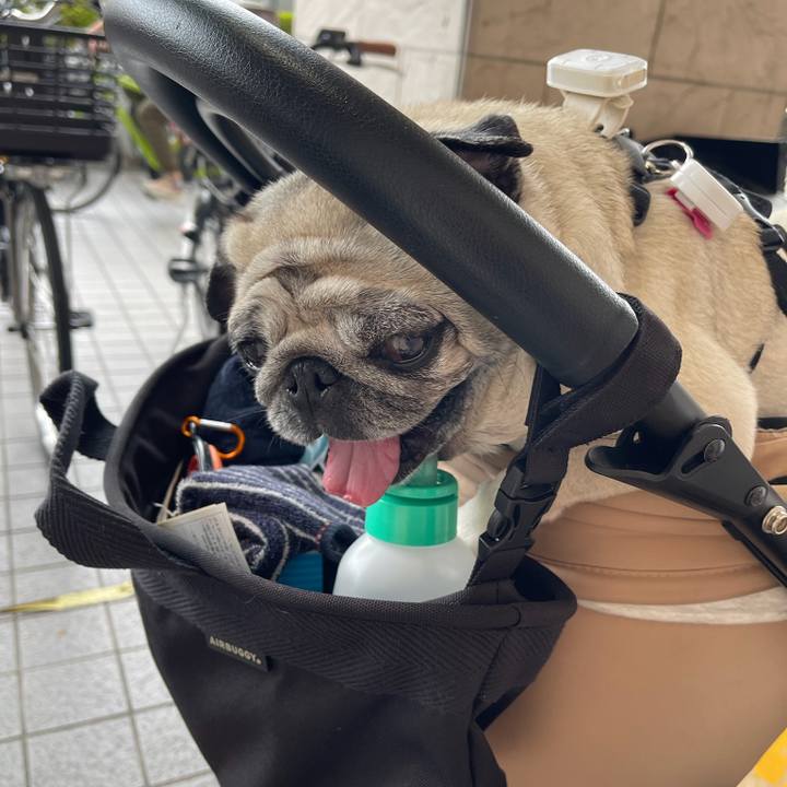 393c37b4 7332 49b5 8daa 9a54dfbae317 1761175282175