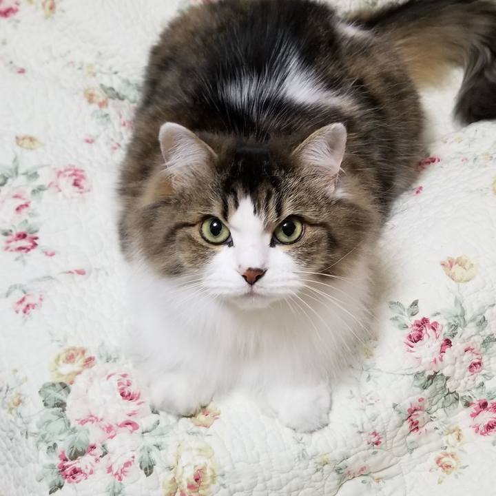 393c3da1 bd57 495b bf67 dd8f6e46e026 1546259397985