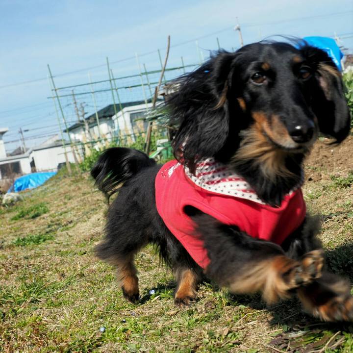 393c409c ab00 486a a875 1ebff496cbeb 1552114008733