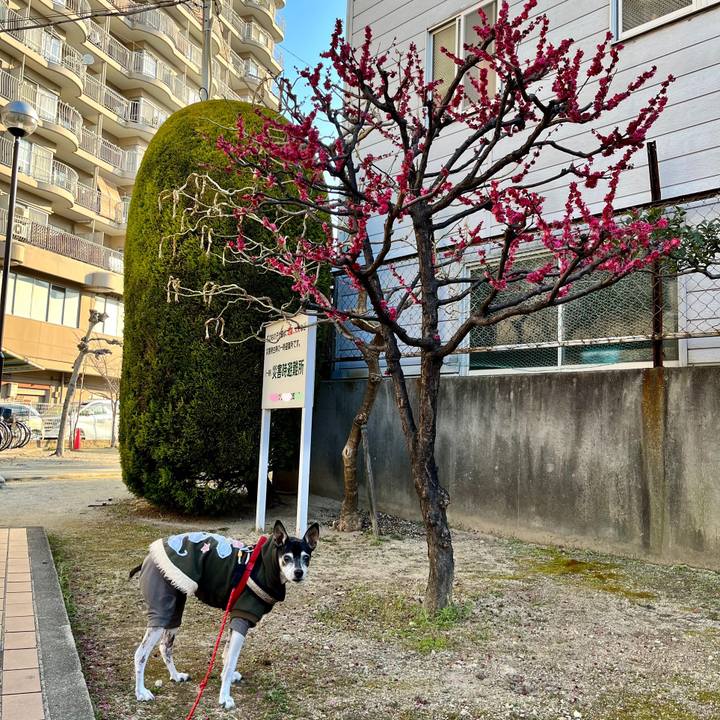 393c50cd 91f1 4406 9a07 33f11a5fbe3e 1646523046426