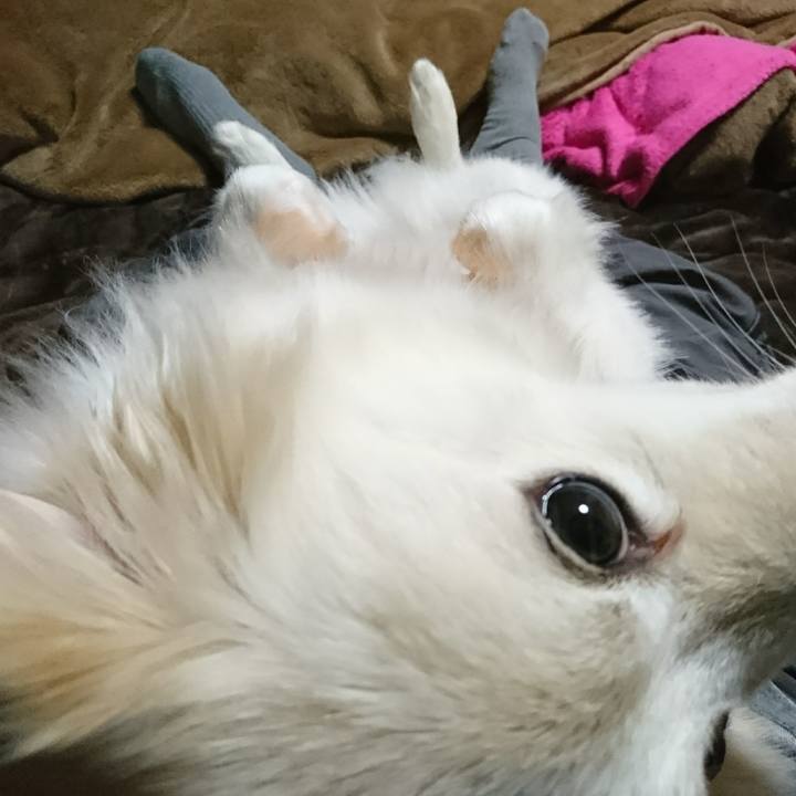 393c6381 7333 413c a7e5 0dee8eab63d1 1519639390377