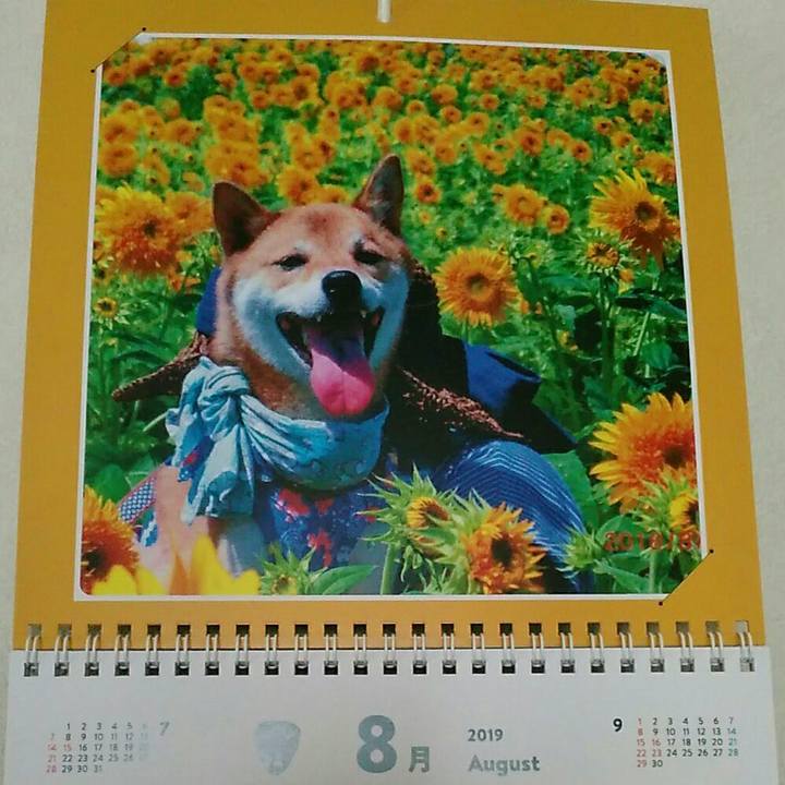 393c75fb b921 412f b66c de6fe3337db1 1564623541390