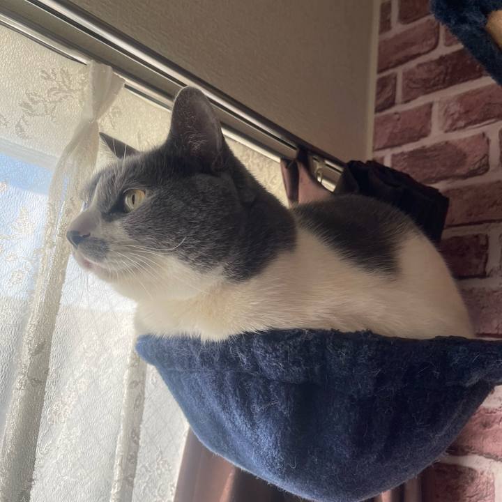 393c8b5e 6f21 4af2 a78c 354929d6b731 1739143128890