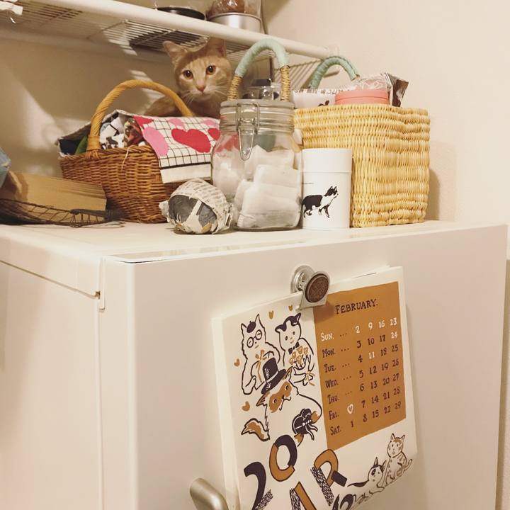 393ca048 ec05 4ec4 ae3e 13d142531e4f 1582385070659