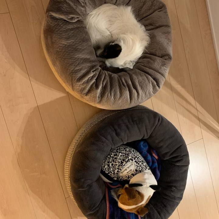 393cba5b e7b8 4444 a7fc 907d69e50115 1585744224437