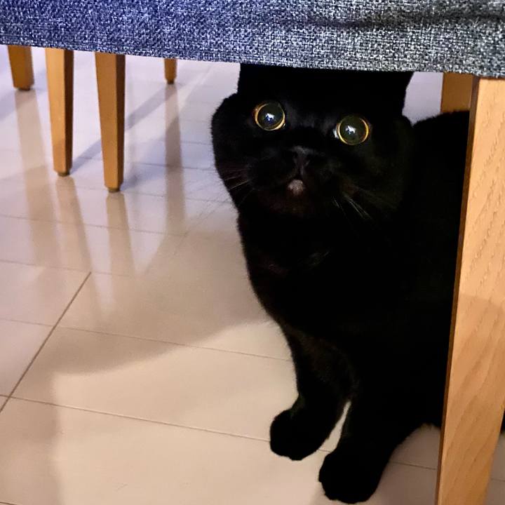 393cc157 c71b 4060 bec2 b58933f9bf5d 1732884222913