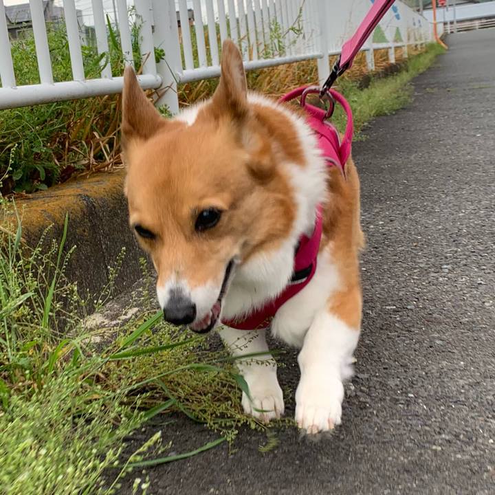 393cc1e2 af22 4100 a288 952c3f976e40 1713839116784