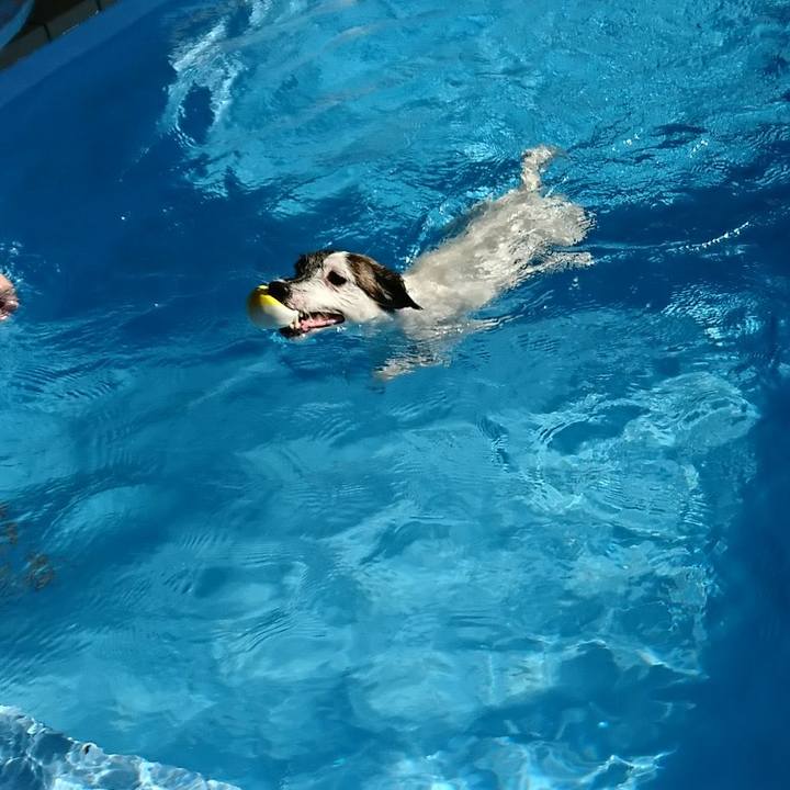 393cc261 9d0f 4fb2 977e 8f9c4b14a1b1 1510726035826