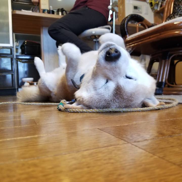 393ce88d 7071 4e01 886b ac37643a18d7 1707262376239