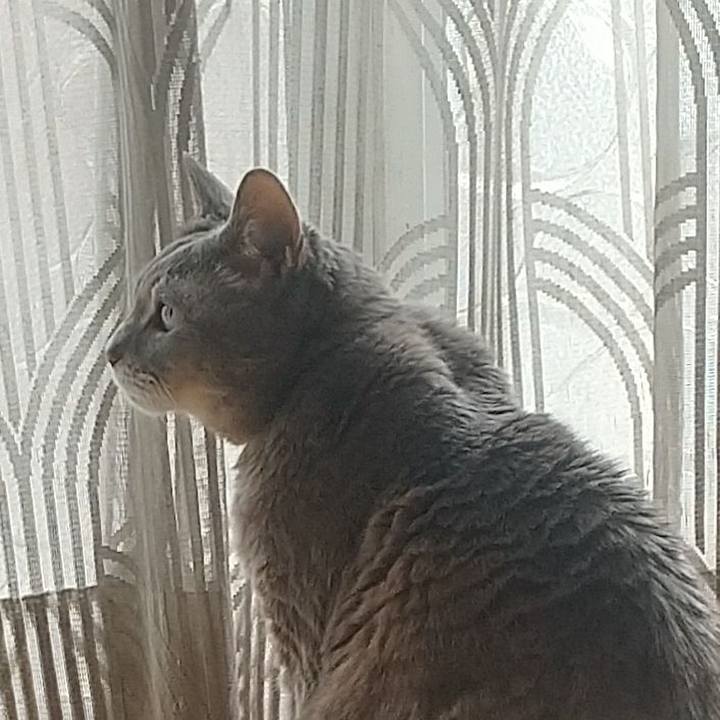 393d1e02 3265 40b5 a5d0 6b3604ccc70d 1648263781456