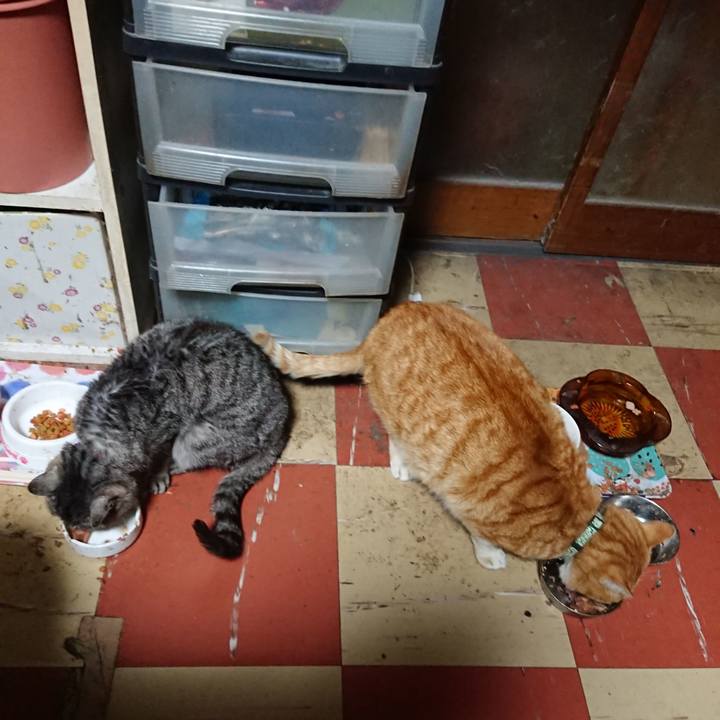 393d3d52 0f62 420a b1bf b9fa3cc81bd9 1584389120313