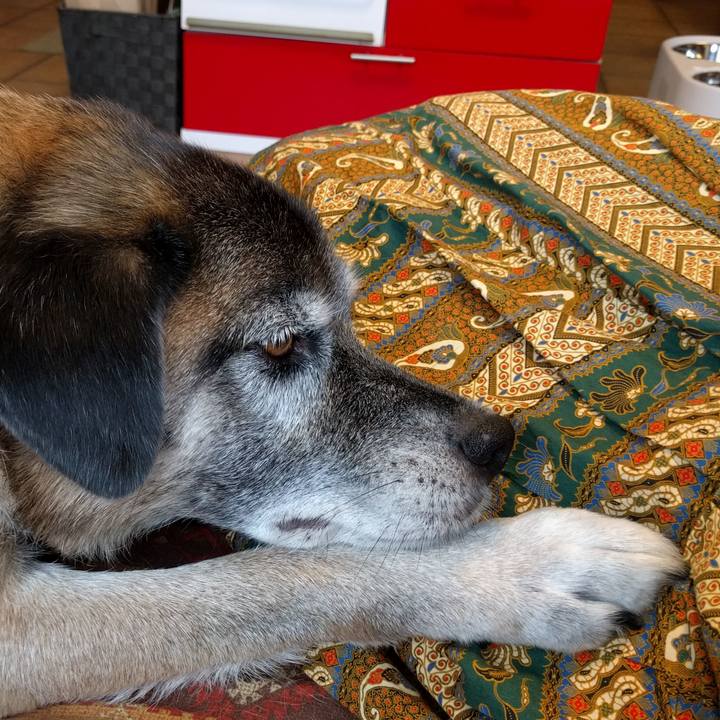 393d4c17 67f5 4305 9a4f 3a945c9d8d91 1535091907747