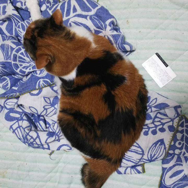 393d7615 2cf9 4bdc 8606 bc885be61efa 1536757603179