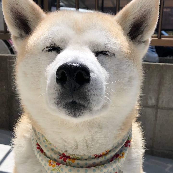 393d84c6 3704 4359 a5bb 194240a7b698 1555727085739