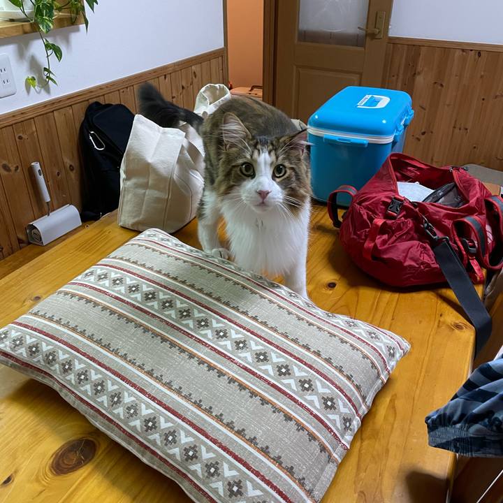 393e246e 651f 4806 bdb3 aab2eed56294 1662754522298