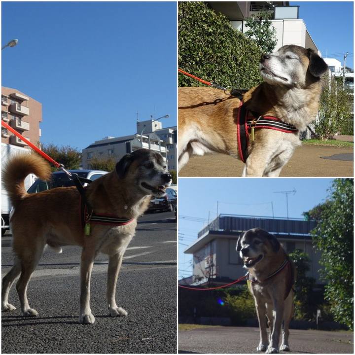 393e386e 5a3a 440a ba10 9e03e9ab4e37 1573521495468