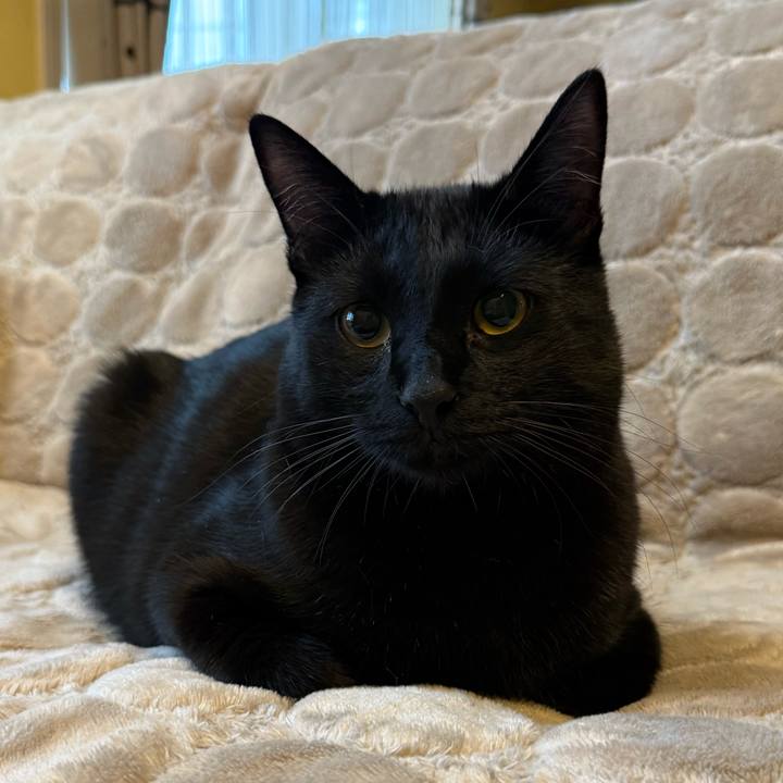 393e429c 2e5b 4a35 ba48 c781ae2c170e 1772233505598