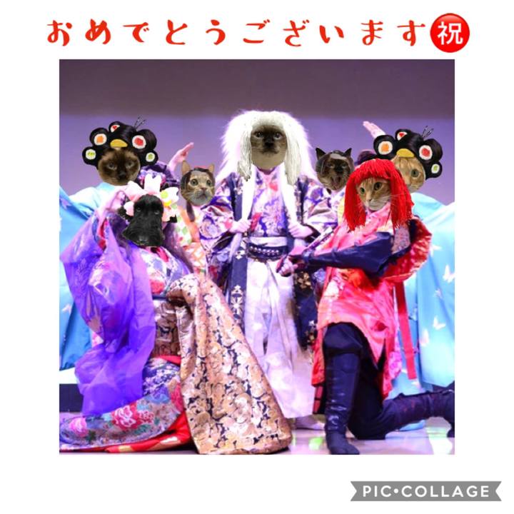 393e608b ef8a 4031 a1a4 be20c0129919 1578491079370