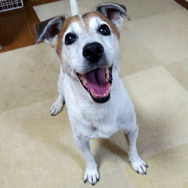 393e76db a89e 4f5f 8ba7 891f50357c89 1561496549243