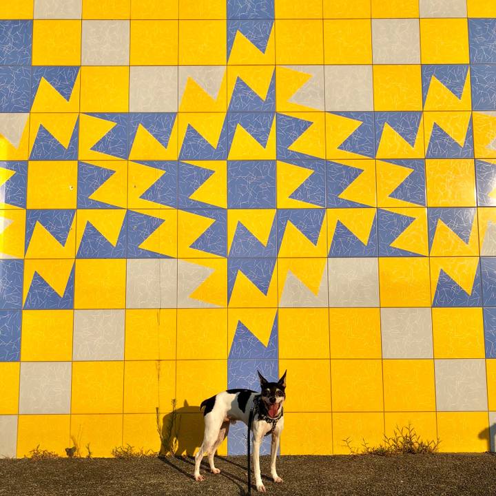 393eac0c bd11 4f92 b66f 51dbb399799b 1532507738984