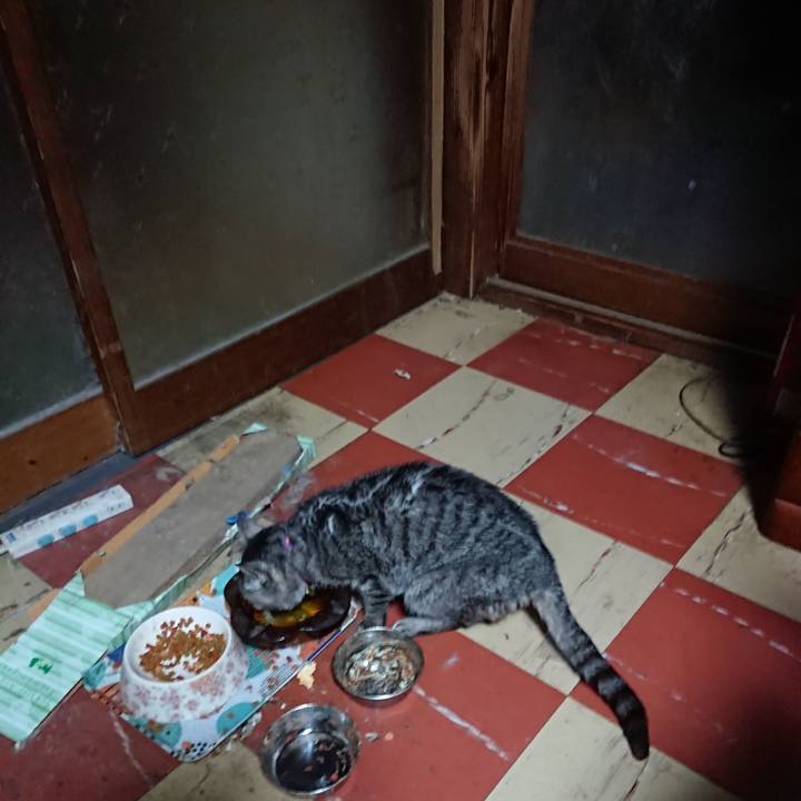 393eb3b1 cda0 4efa b30d fc7321f17951 1579207159118