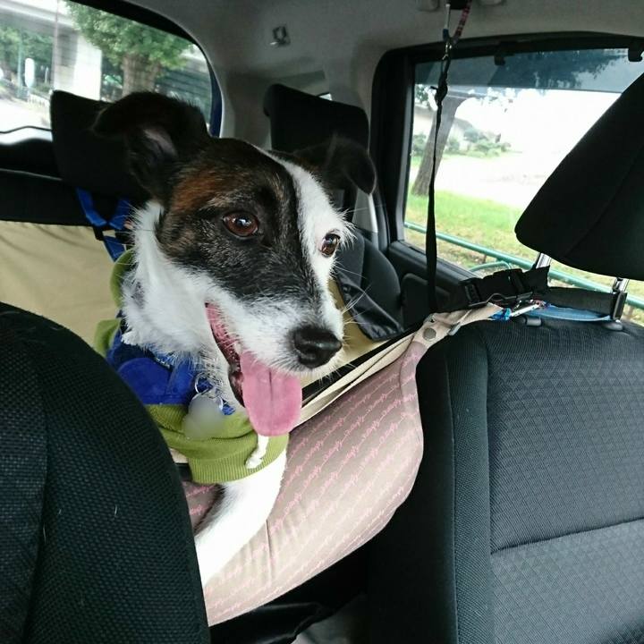 393f272c dfbc 4f43 bb13 b5189dba8166 1507947129225