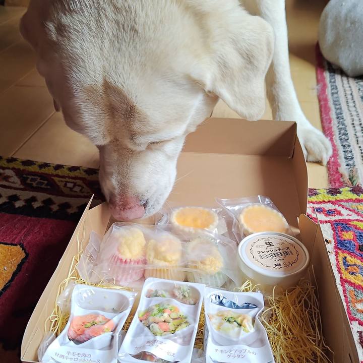 393f5dc1 9a53 4b0a abd9 10558a99df41 1771658956354