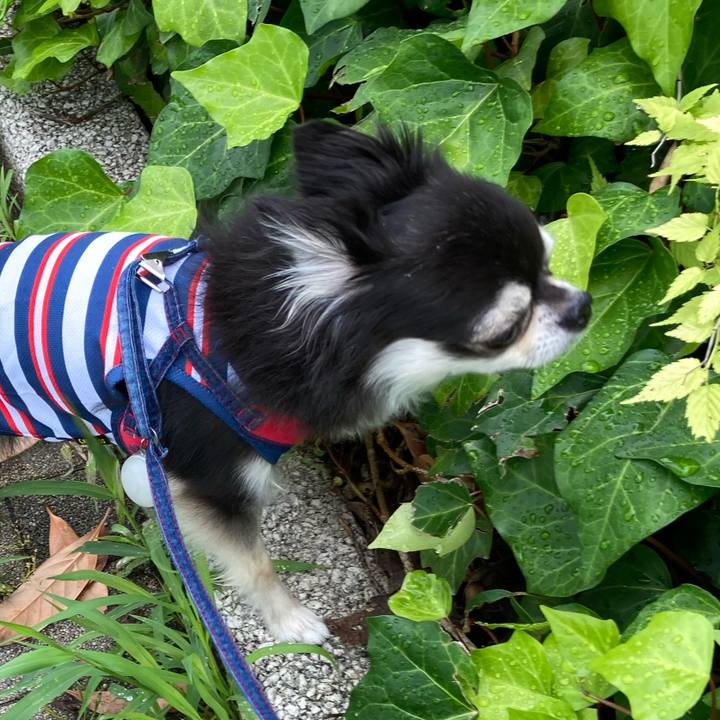 393f65e4 8bce 47ff 89ae 789ef22daf39 1719072550931