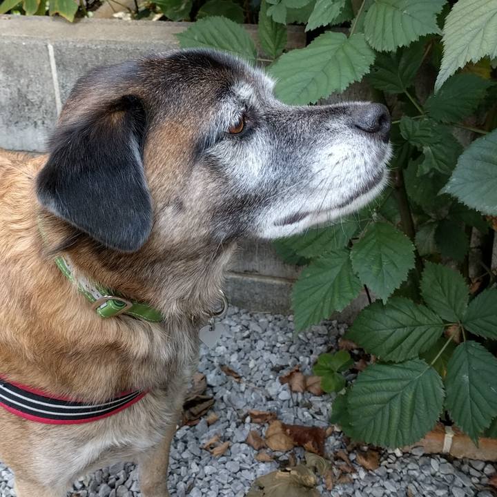 393f9093 de44 4062 b7c6 1c1d14238e07 1511483034387