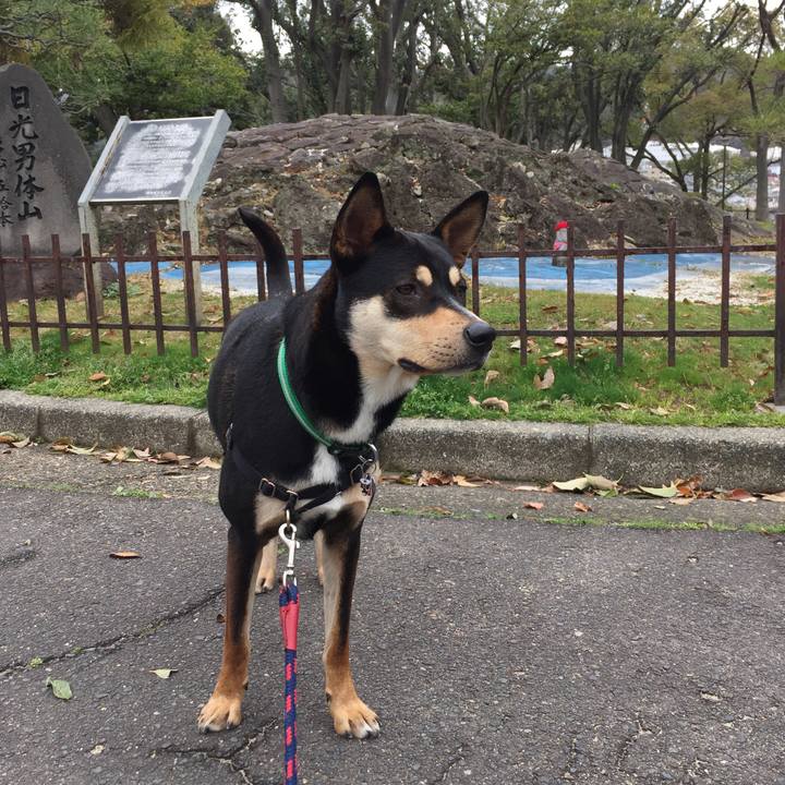 393fbb1c 5fef 4ee5 949c d0ca8934a5b6 1521520176552