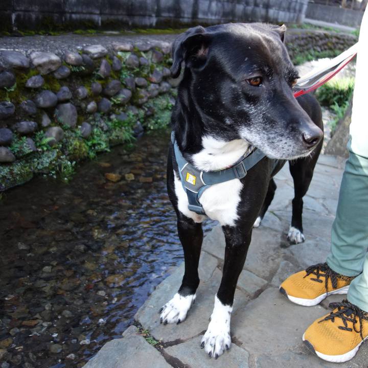 393fd653 02fd 4074 b23f 8bae9bc0ffde 1711844904334