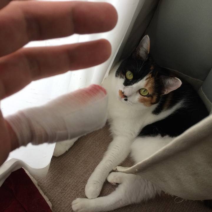 393ffc3d da4a 41a5 b4a2 db779361dde9 1599014281727