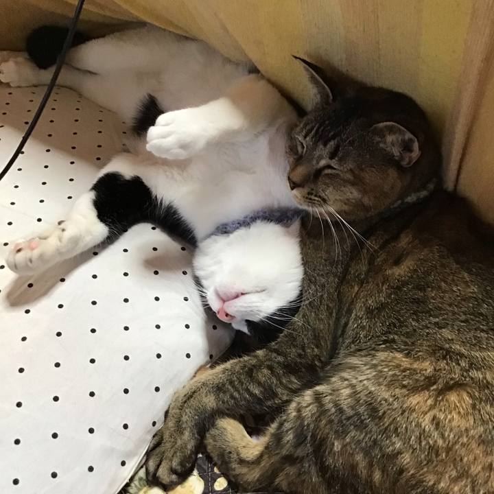 39400933 6402 42c5 a318 f311a79b1549 1640328485091