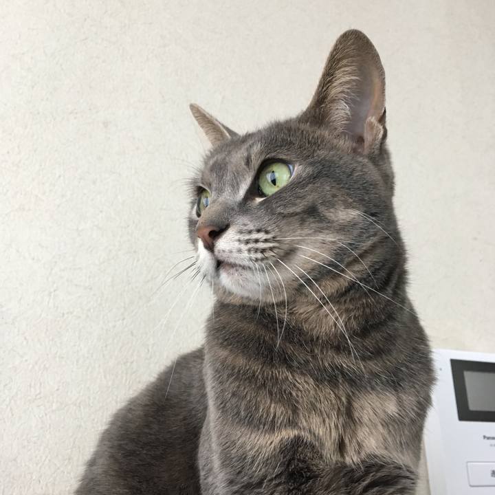 39403caa b657 4627 81ef c6bf96ddee45 1520035493685