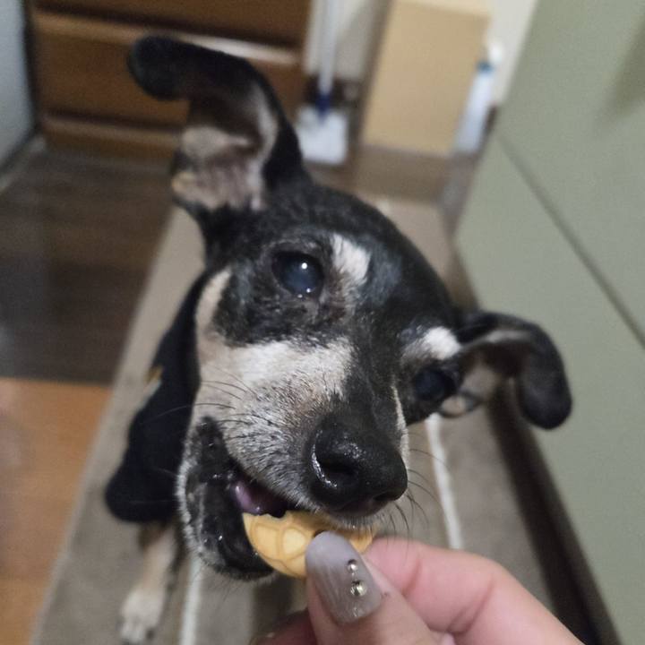 39403d60 73e5 4aa0 9254 3bca2cdc7d30 1763235483443