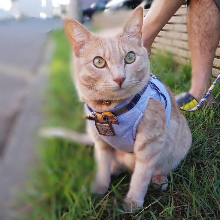 39407e8b d1f3 4e5c ab28 640bf1305c8f 1568537936075