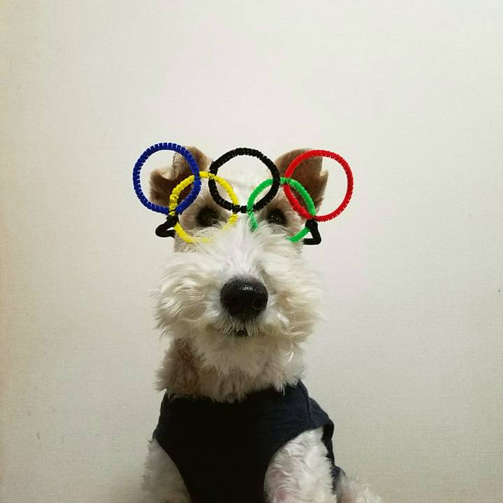 3940888e 9889 4323 929b f80e00fe81c2 1518854558918