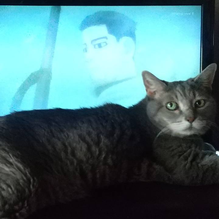 3940babf 4e48 4621 b0f7 da8a4e5229a7 1664875707143