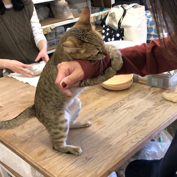 3940bfb6 d71d 4cef 8273 a3d20a29d37f 1605945211424