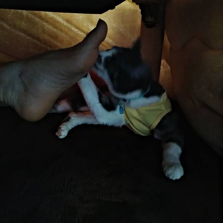 3940d4e1 072e 454d bf15 de74845c7c3b 1584488379738