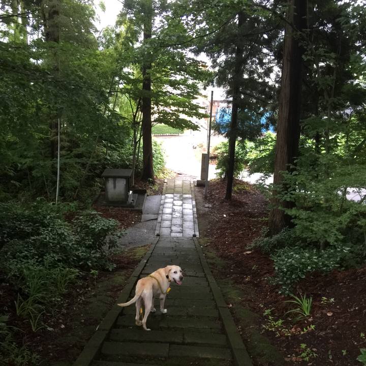 3940e026 b790 4f0a b03a f2702b700b5f 1626526423323